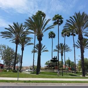 Meet your Posher, Sunhee